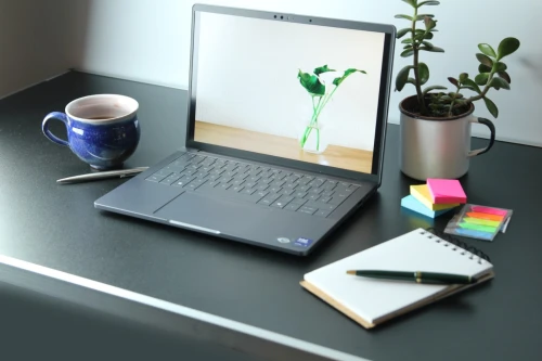 Dell Pro 13 Premium ultra 5 236V 16G DRR5X 512G SSD 13.3 POUCE TACTILE 2.8K AZERTY NEUF