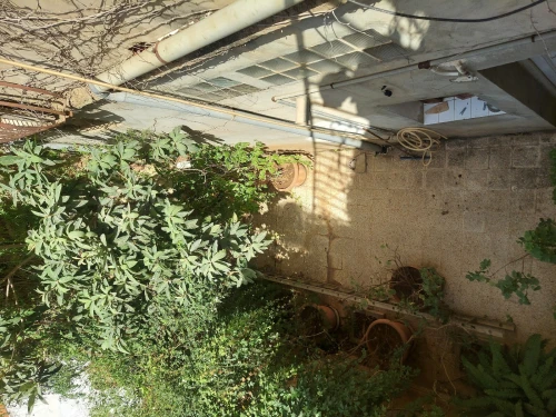 Location Villa Alger Hussein dey