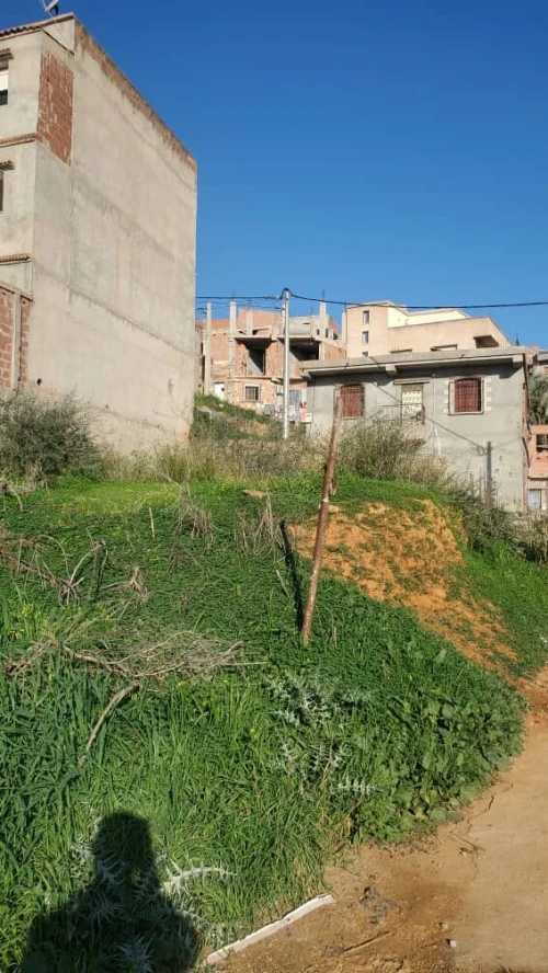 Vente Terrain Alger Douera