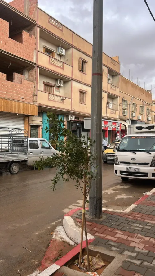 Vente Appartement F3 Béchar Bechar