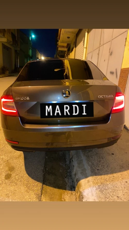 Skoda Octavia 2019 Clever