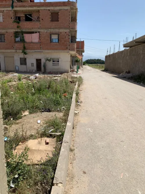 Vente Terrain Alger Tessala el merdja