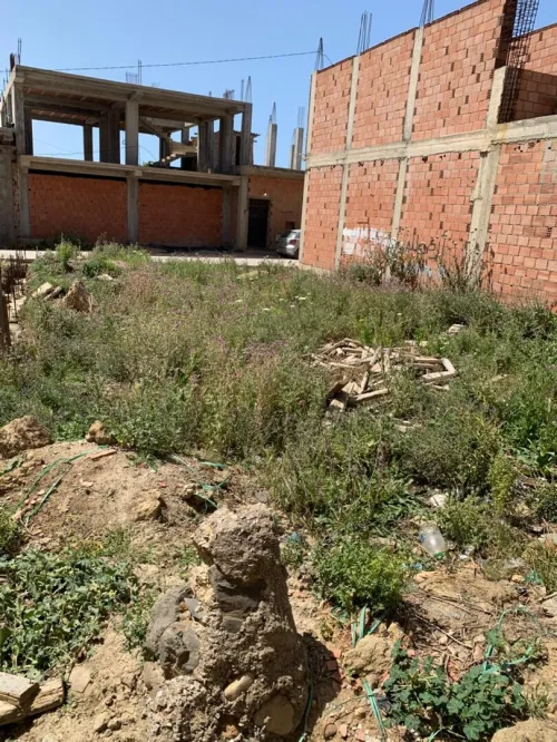 Vente Terrain Alger Tessala el merdja