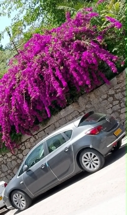 Opel Astra 2013 Astra