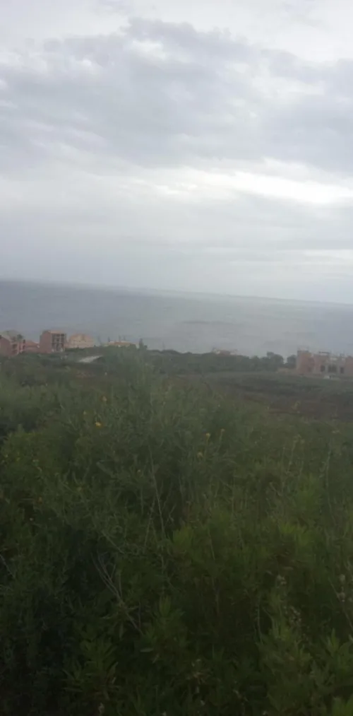 Vente Terrain Tizi Ouzou Tigzirt