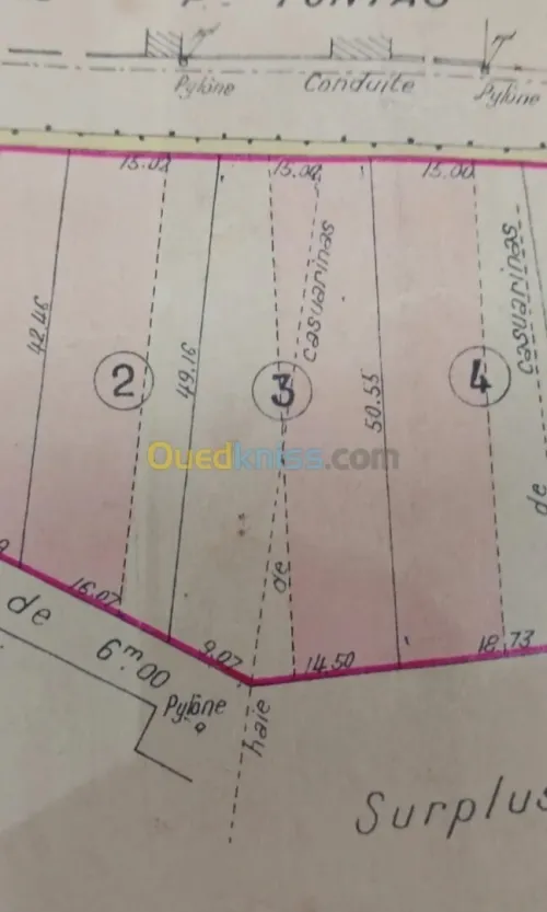 Vente Terrain Alger Bouzareah