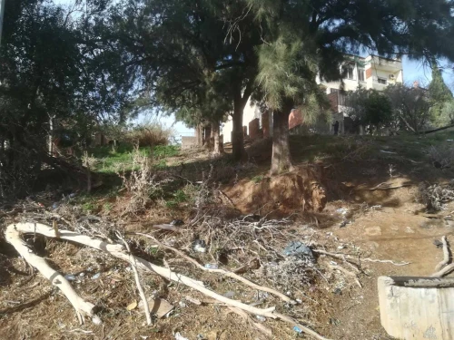 Vente Terrain Alger Bouzareah