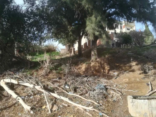 Vente Terrain Alger Bouzareah