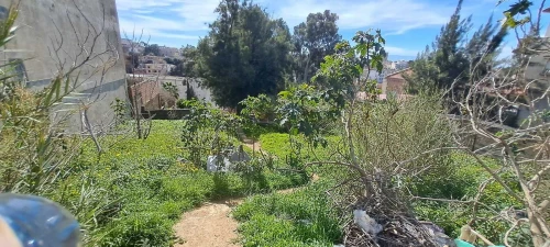 Vente Terrain Alger Bouzareah