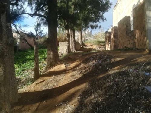 Vente Terrain Alger Bouzareah
