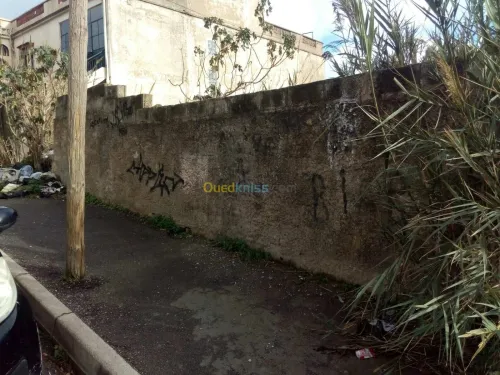 Vente Terrain Alger Bouzareah