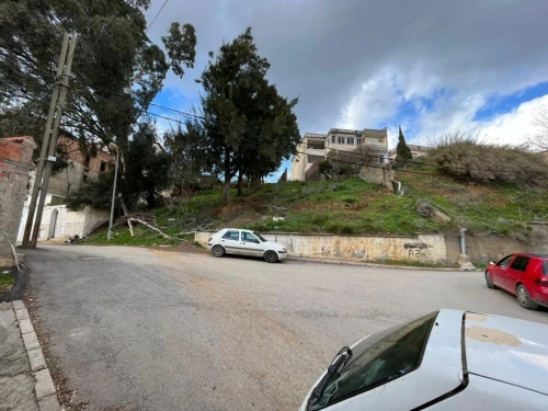 Vente Terrain Alger Bouzareah