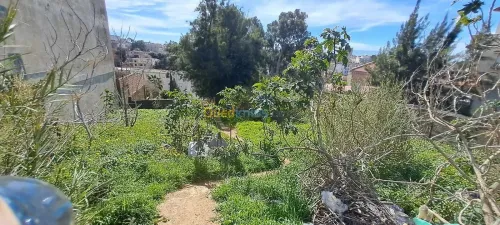 Vente Terrain Alger Bouzareah