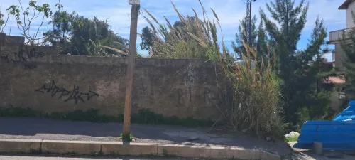 Vente Terrain Alger Bouzareah