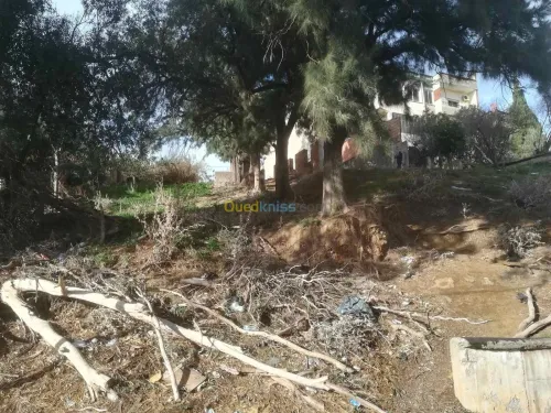 Vente Terrain Alger Bouzareah