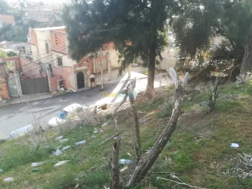 Vente Terrain Alger Bouzareah