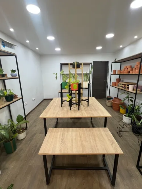 Etageres magasin