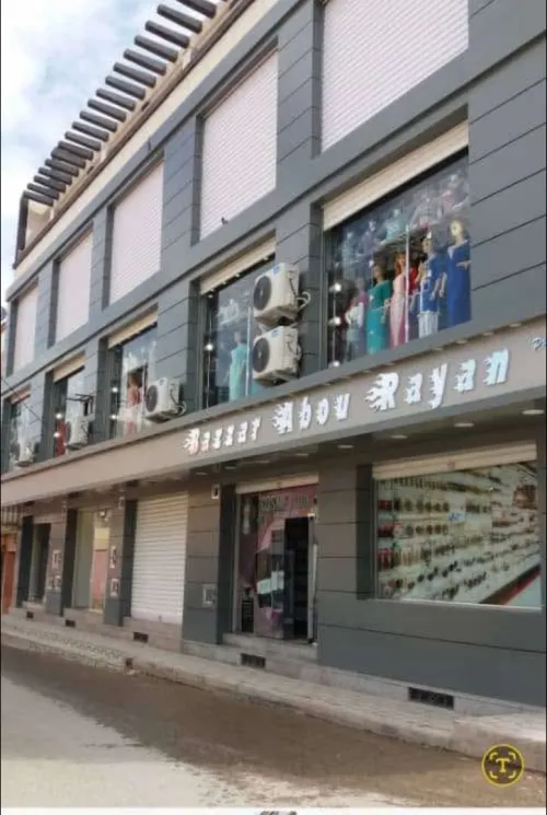 Location Local Saïda Saida