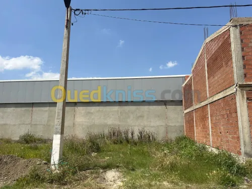Vente Terrain Blida Bougara