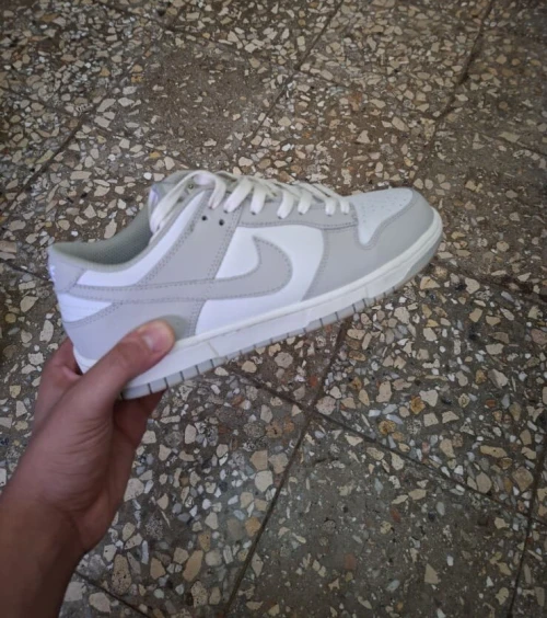 Basquettes Nike dunk low retro