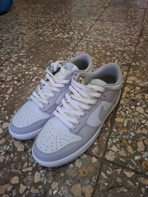 Basquettes Nike dunk low retro