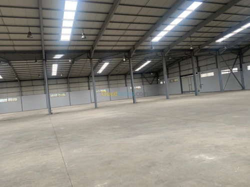 Location Hangar - Usine Alger Baraki