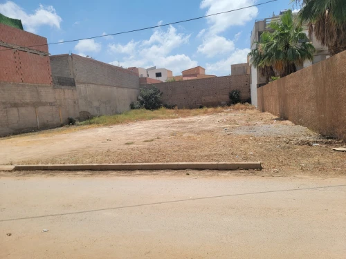 Vente Terrain Tlemcen Tlemcen