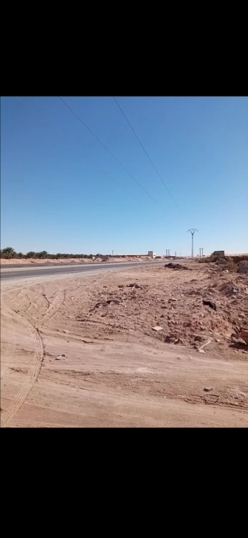 Vente Terrain Agricole Ouargla Ain beida