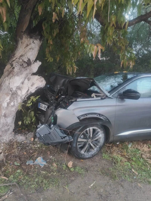 Peugeot 3008 2022 3008