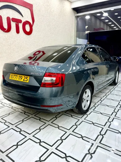 Skoda Octavia 2019 Ambition