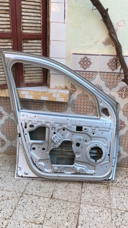 Porte sandiro 2009