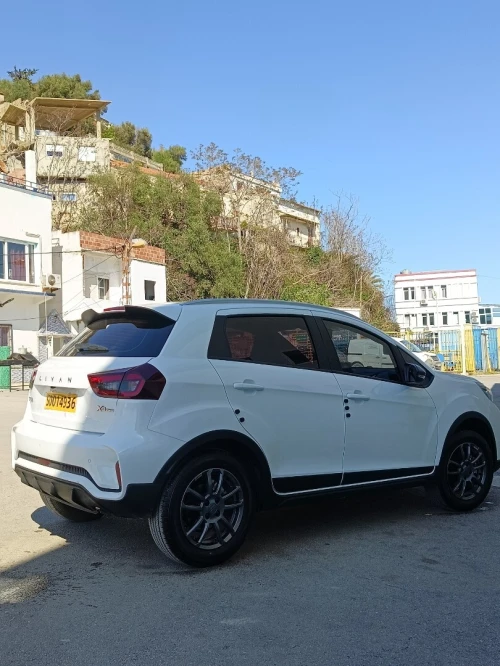 Livan X3 Pro  2026 X3 Pro automatique + Toit 