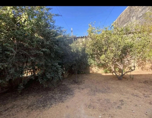 Vente Terrain Mostaganem Kheireddine