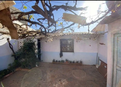 Vente Terrain Mostaganem Kheireddine
