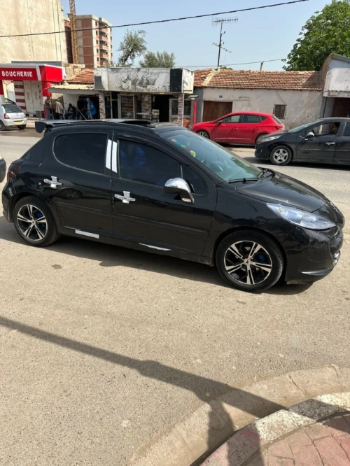 Peugeot 207 2009 207