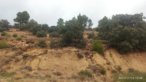 Vente Terrain Bordj Bou Arreridj Bordj zemoura