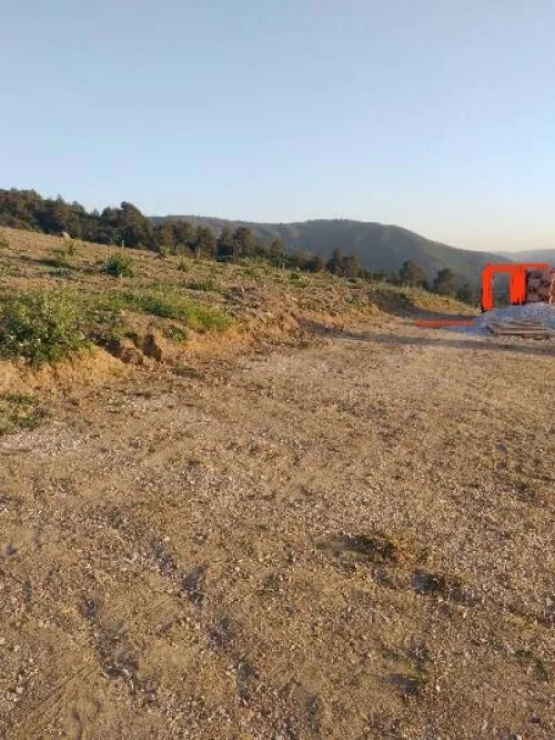 Vente Terrain Boumerdès Larbatache