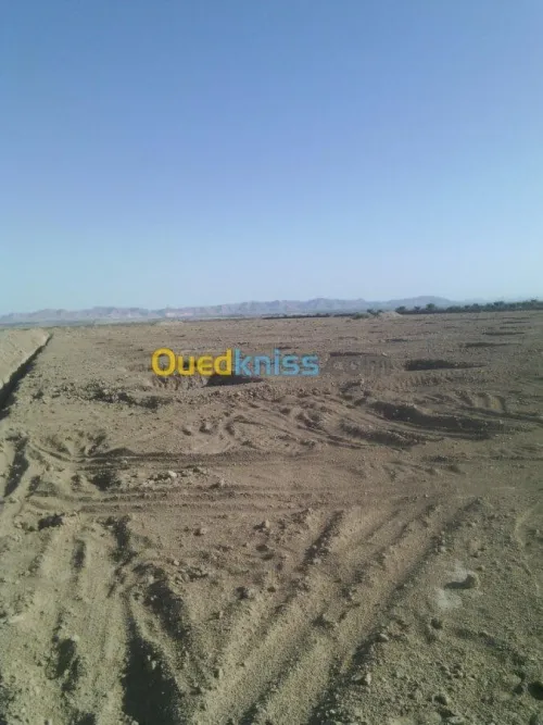 Vente Terrain Agricole Biskra Mlili
