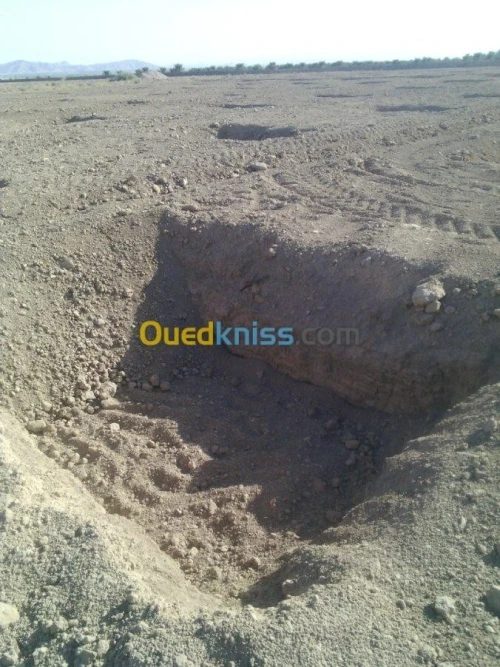 Vente Terrain Agricole Biskra Mlili