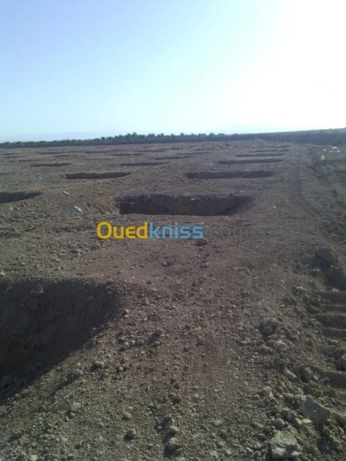 Vente Terrain Agricole Biskra Mlili
