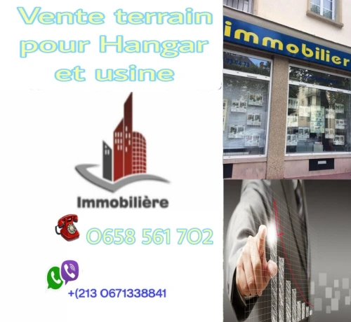 Vente Terrain Alger Tessala el merdja