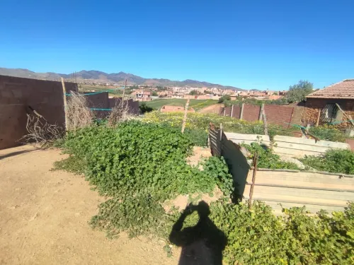 Vente Terrain Aïn Defla Bourached