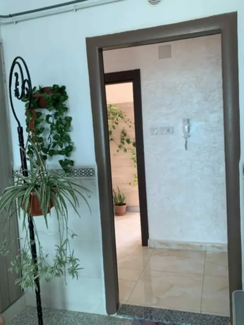 Vente Appartement F3 Tipaza Hadjout