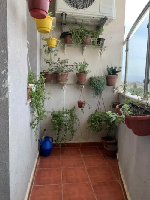 Vente Appartement F3 Tipaza Hadjout