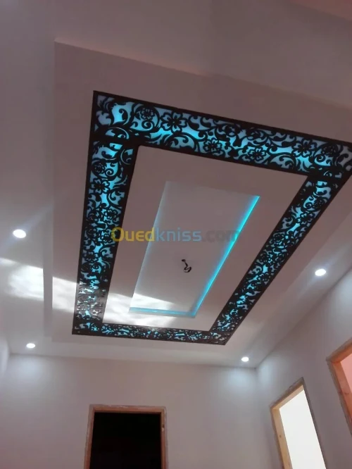 Installation faux plafond PVC et placoplatre