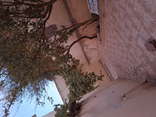 Vente Villa Sidi Bel Abbès Sidi bel abbes
