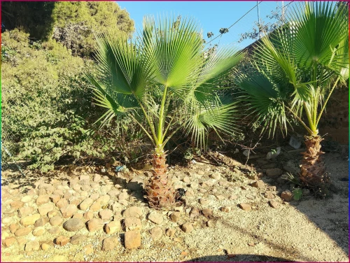 Vente Villa Chlef Beni haoua