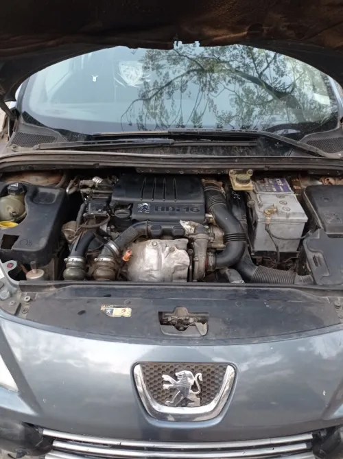 Peugeot 307 2008 Oxygo
