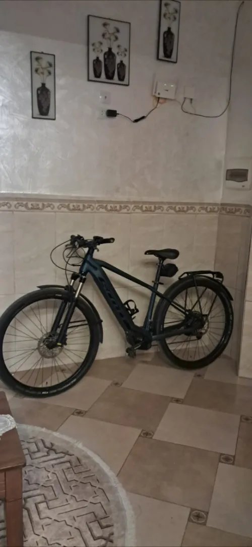 Velo électrique 
