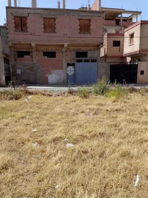 Vente Terrain Blida Boufarik